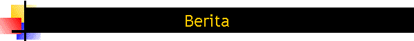 Berita